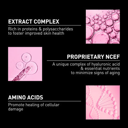 Ncef-Shot Anti-Aging Serum: Intensive Wrinkle Reduction Treatment for Radiant and Firm Skin in Just 10 Days, 0.5 Fl. Oz.